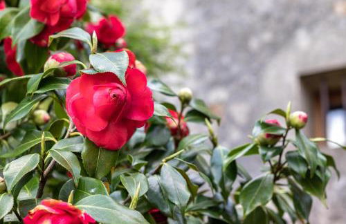 43B Nature with parking by Aston Rentals - Photo 31