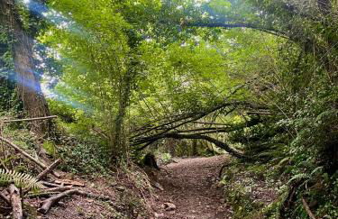 BILBO Near ático rural con terraza - Foto 43