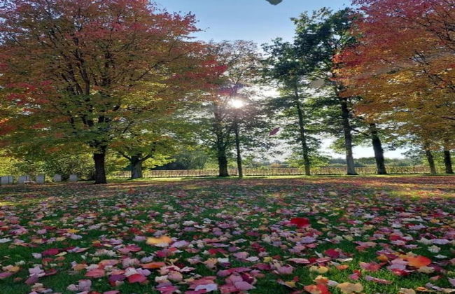 Luxurious Holiday Home in Érezée with Hot Tub - Photo 39