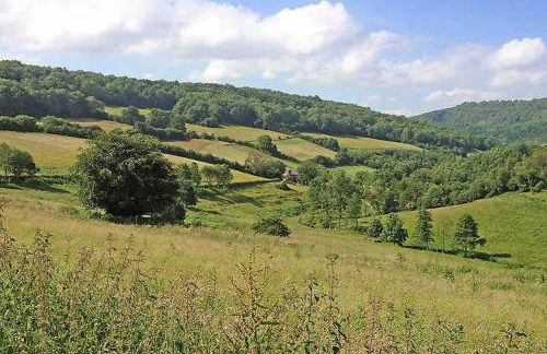 The Rookery Cottage - Newland - Foto 6