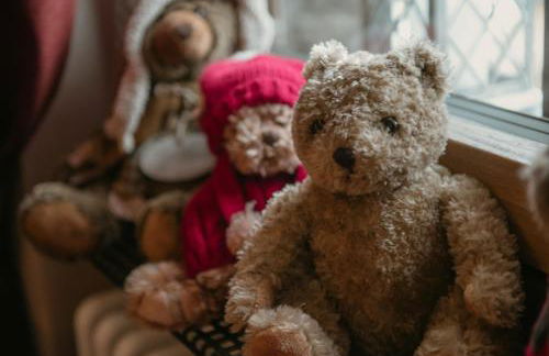 La Tana dell'Orso Bormio - Nature and Welness - Foto 60