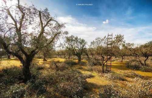 Tenuta Kyrios Agriresort Restaurant & Pool - Foto 62