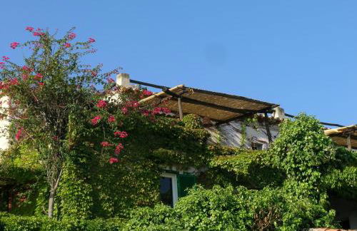 Appartamenti Salato - Foto 12