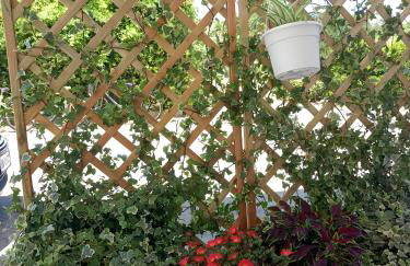 La Casetta del Borgo Marinaro - Foto 38