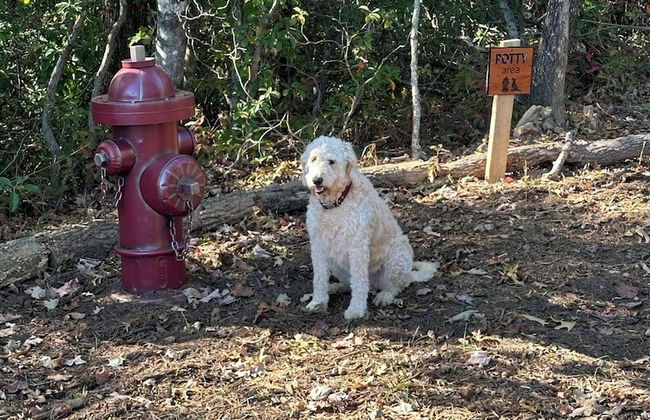 Meraki Escape - Log Cabins w/Hot Tubs + Pet Friendly - Foto 40