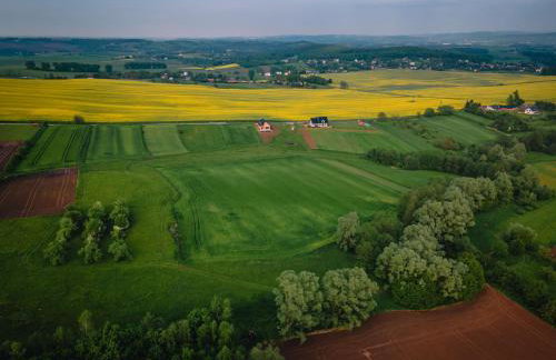 Domki na Górniej Łące - Dwa Wróble - Foto 23