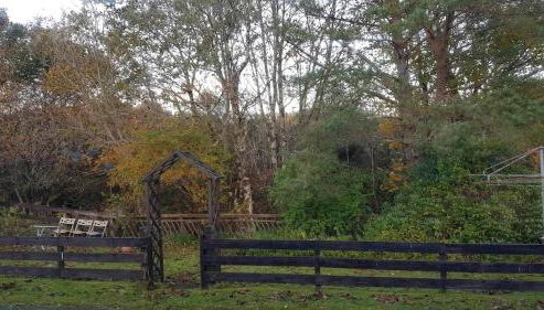 Rowan cottage - Photo 4, Garden