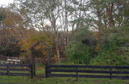 Rowan cottage - Foto 4