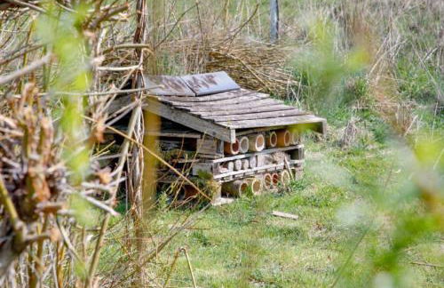 Nuthatch - Kittisford Barton - Photo 37