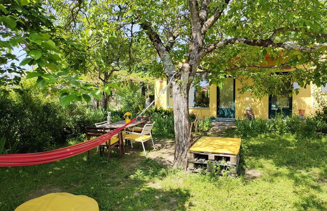 Casa das Palmeiras - Pedagogic Farm - Foto 43