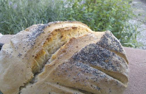 Agriturismo La Terra - Foto 27