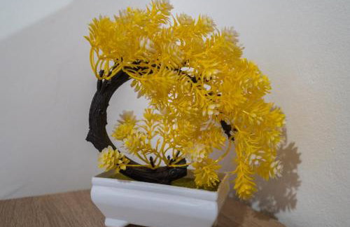 Apartman Josipa - Photo 26