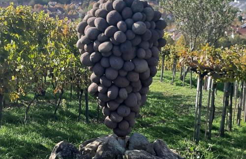 Ferienwohnung Zentrumsnah in Heppenheim - Foto 6