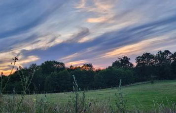 Wilczy Zew Private Spa & Nature - Foto 49