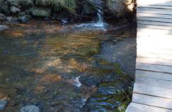 Le Cottage de L Abbaye - Photo 48