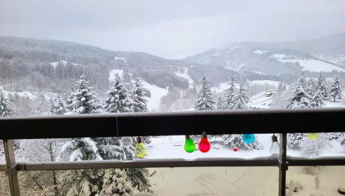 STUDIO plein sud "Les Arolles" Balcon de VILLARD DE LANS - Foto 4