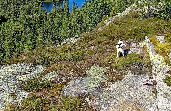 6 Person Holiday Home in Passebekk-by Traum - Photo 37