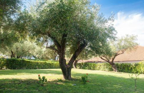 Casa Palinuro Vacanze fronte spiaggia - Photo 57