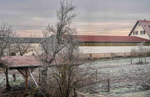 Ferme Équestre - Vue Unique sur les Chevaux - Foto 24