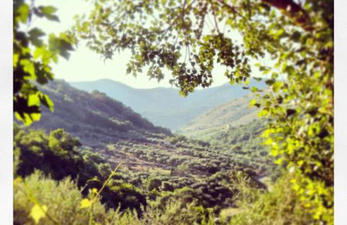 Agriturismo Al Poggetto - Foto 16