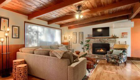 Orange Door Electric Fireplace bbq - Photo 4