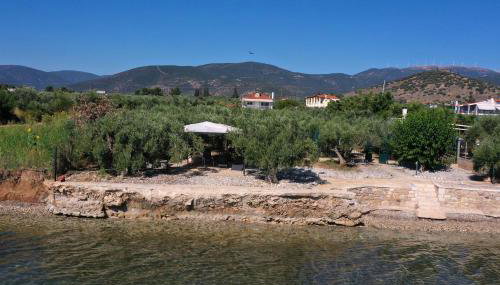 Villa of luxury and serenity - Foto 2