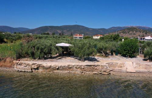 Villa of luxury and serenity - Photo 2