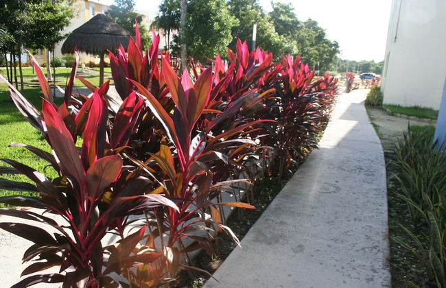 Apartments Paraiso Maya 19-b - Photo 25