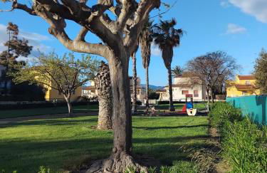 Casa Aigua Blanca Oliva - Photo 28