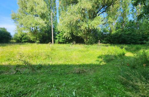 La Couleuvre - Foto 17