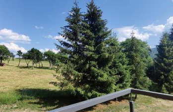 Korona Bieszczad Premium Apartments - Foto 54