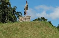 Rancho do andi - Foto 22