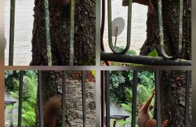 Exotic Tropical Palace - ComfyHome Apartments Stuttgart - Foto 74