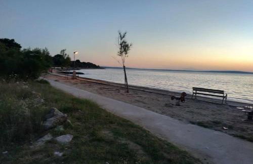 Yellow submarine - Photo 12