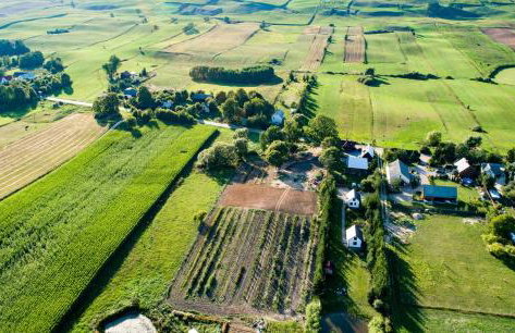 Mały Kaletnik - Foto 11