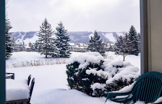 Blue Mountain - Photo 43