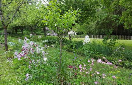 gite au jardin de grand-père - Photo 7