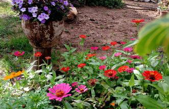 Maria Bonita Eco Pousada - Foto 41