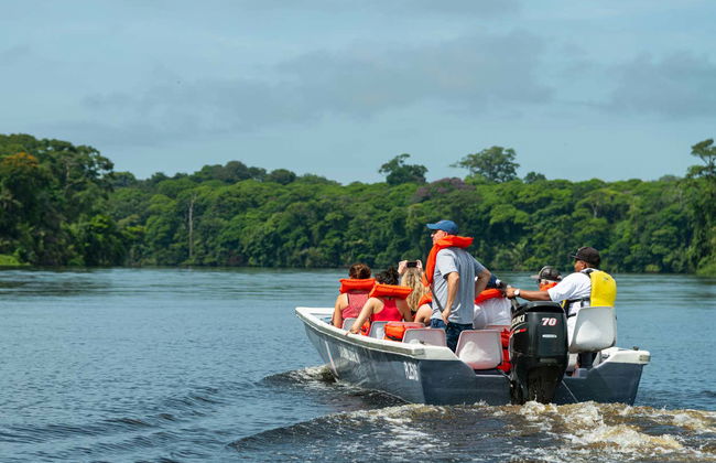 Tour de 2 ou 3 dias pelo Parque Nacional Tortuguero - Foto 5