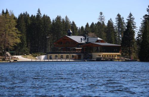 Ferienwohnungen Ludwigsthal - Foto 32