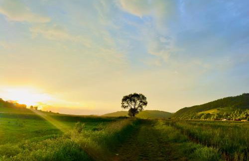 Agroturystyka Wilkowyja - Foto 27