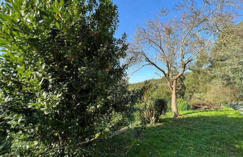 Cabaña de Caldones - Foto 18