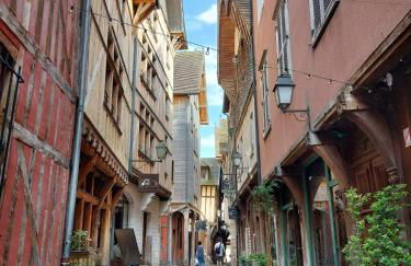 Le Jardin Des Délices charming house in Troyes - Foto 36