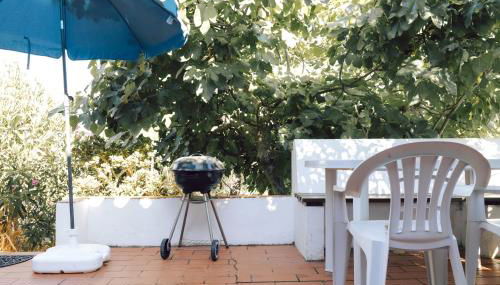 Jardim de Vénus - Foto 5, Garden