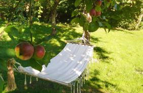 Camp Warmia - Foto 65