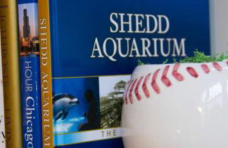 Luxéry Stay Chicago - Themed Units! Close to Downtown, McCormick Place & Wintrust Arena - Photo 9