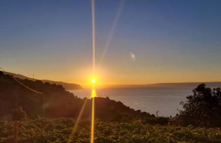 Faria's House - Foto 7