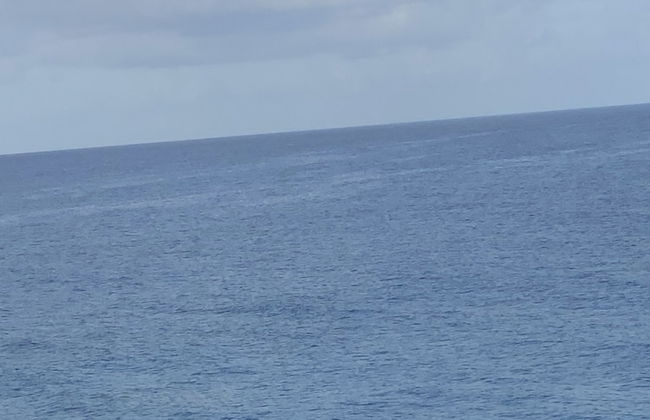 Marvetteshideaway - Foto 31