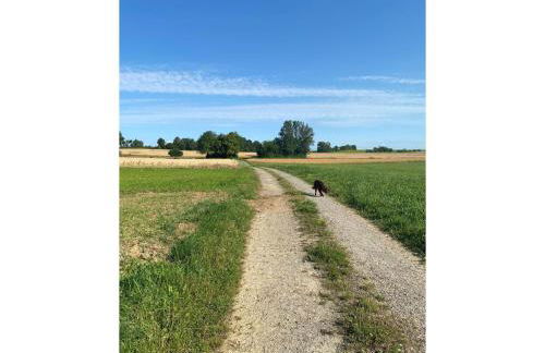 Ferienwohnung Sußebach mit 80 Qm - Foto 13