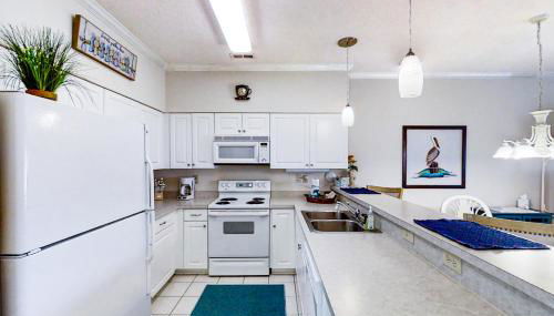 Scotch Broom E-104 - Foto 3